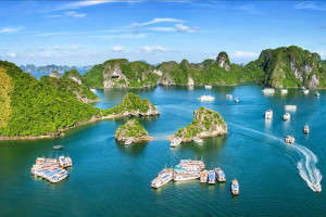 Tour Du Thuyền Hạ Long Golden Bay Cruise 3 ngày 2 đêm